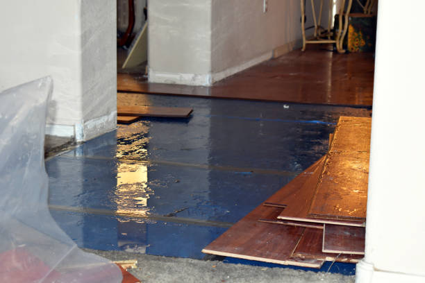 Professional Flood Damage Repair technician working in Brinkhaven, OH